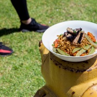 [4:4 Footwear Foodie] Adidas Yeezy Boost v2 + Portabello & Veggie Yakisoba Stir Fry